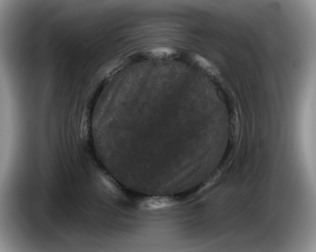 X0000084050762200703092052