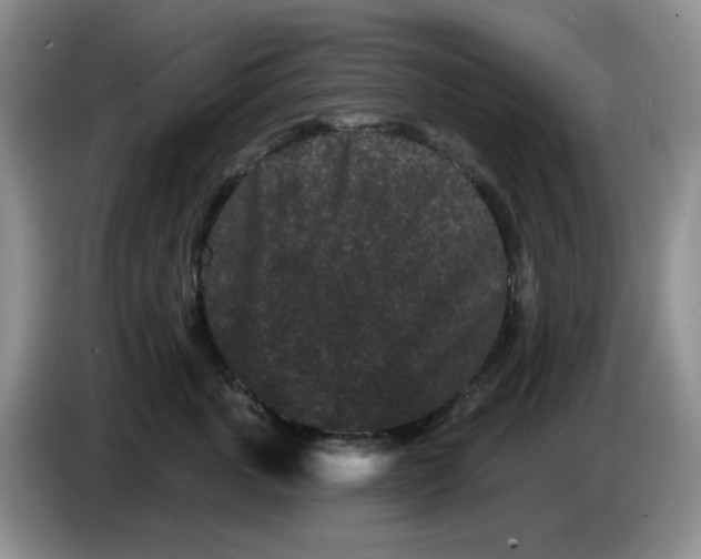 X0000084050763200703092052