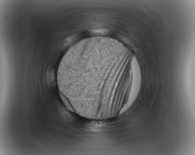 X0000084050764200703092052