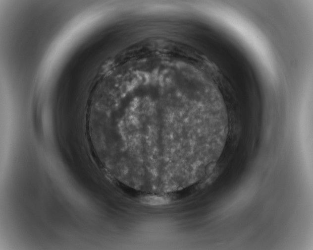 X0000084050765200703092052