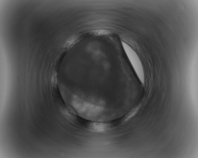 X0000084050766200703092052