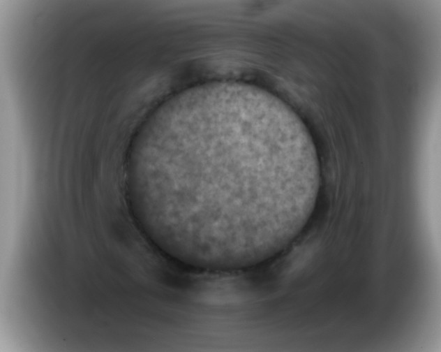 X0000084050769200703092052