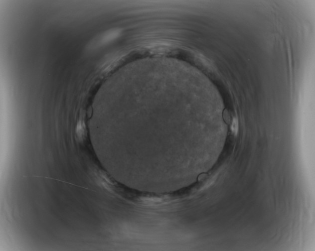 X0000084050771200703092051