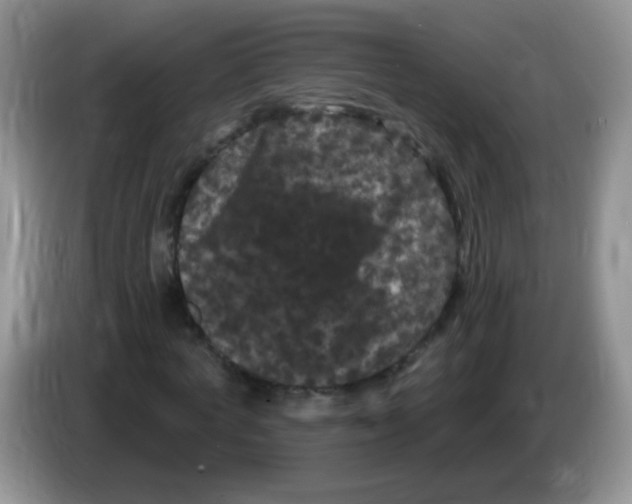 X0000084050772200703092051