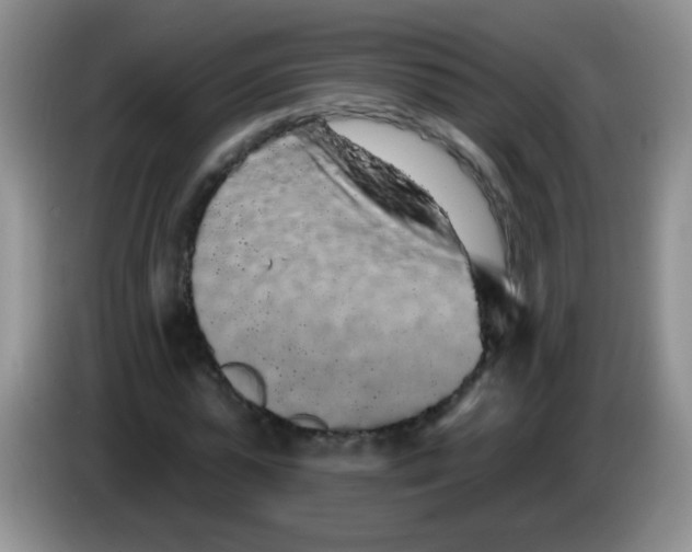 X0000084050775200703092051