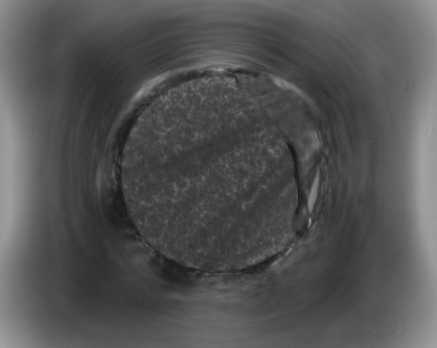 X0000084050776200703092051