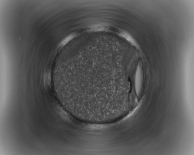 X0000084050777200703092051