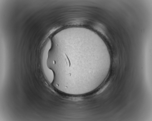 X0000084050778200703092051