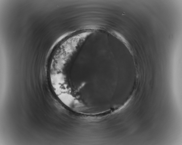 X0000084050779200703092051