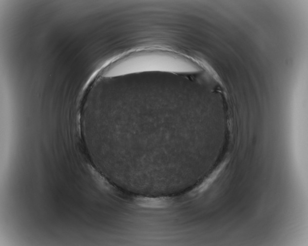 X0000084050781200703092051