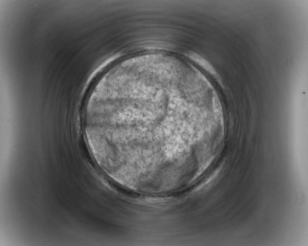 X0000084050782200703092051