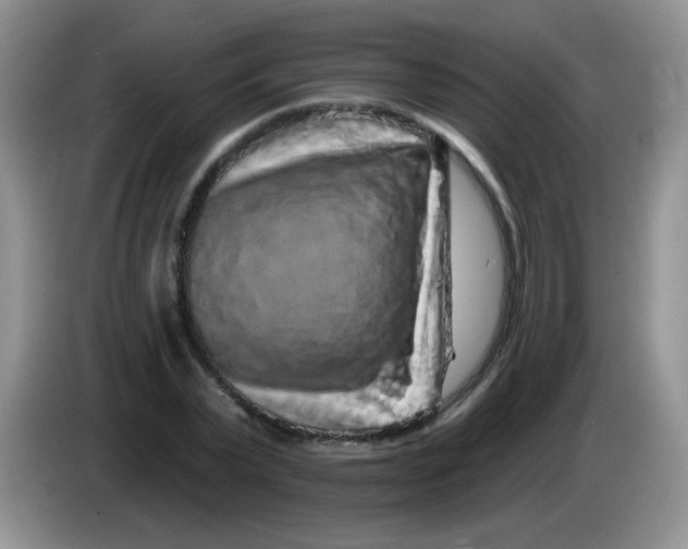 X0000084050783200703092051