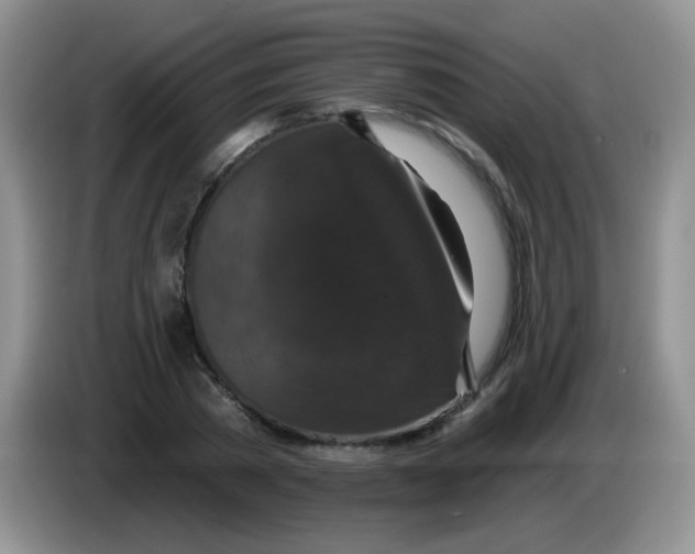 X0000084050785200703092051