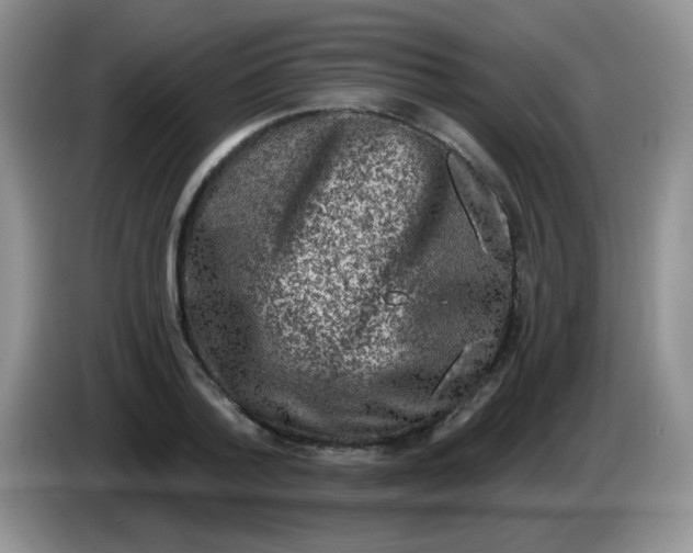 X0000084050788200703092051