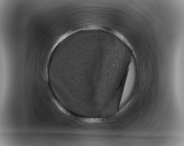 X0000084050789200703092051