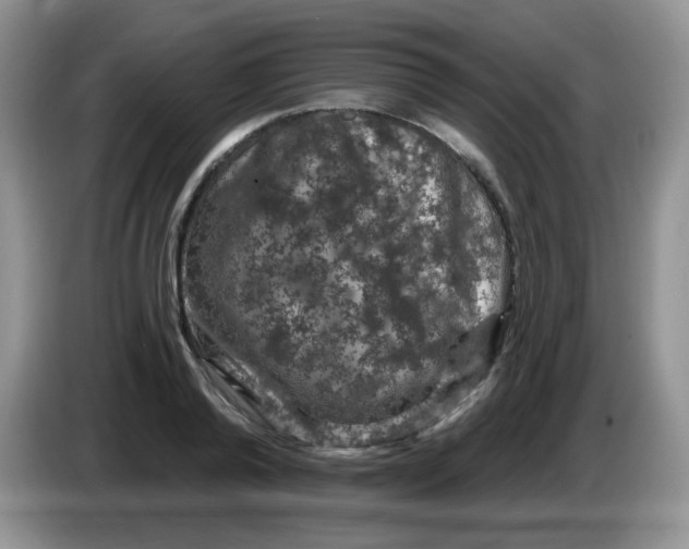 X0000084050792200703092051