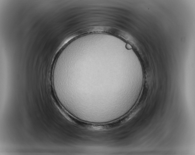 X0000084050794200703092051