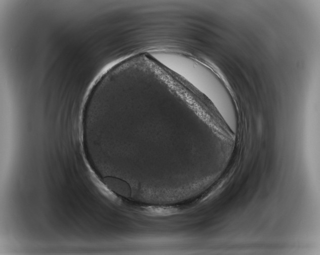 X0000084050795200703092051