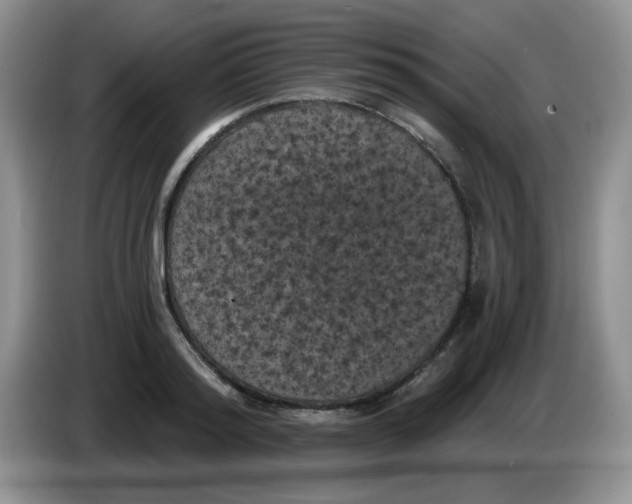 X0000084050796200703092051