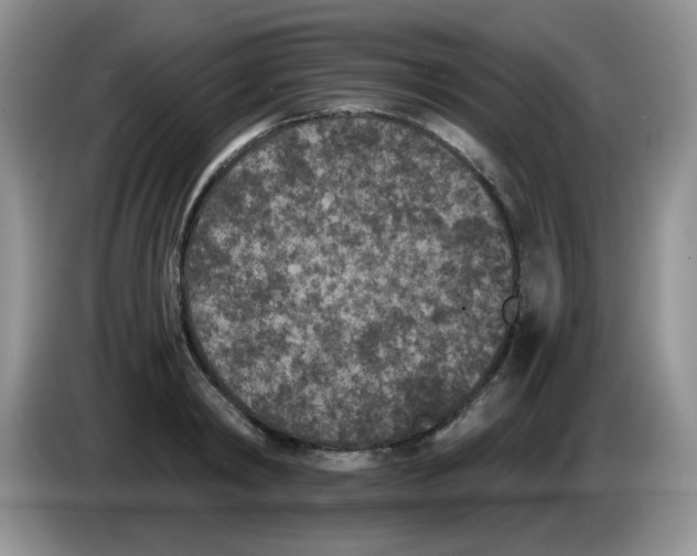 X0000084050798200703092051