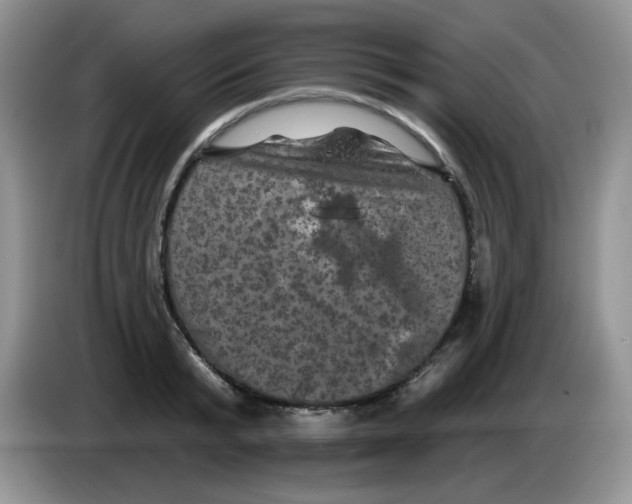 X0000084050799200703092051