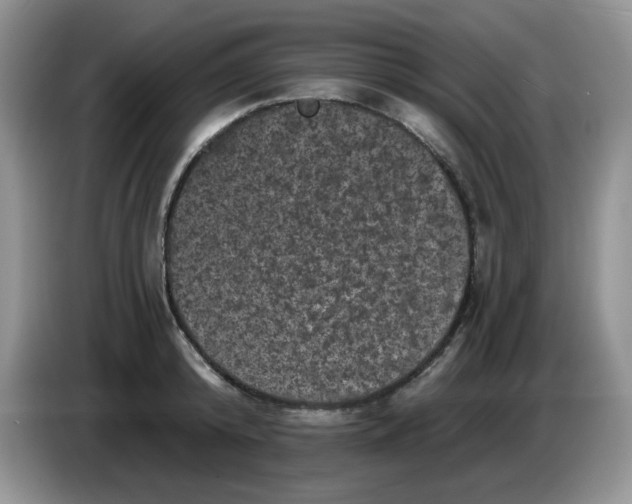 X0000084050800200703092051