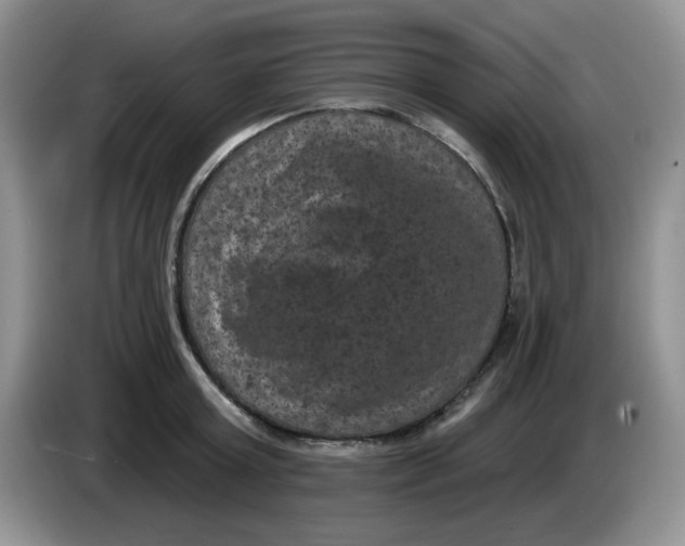 X0000084050803200703092051