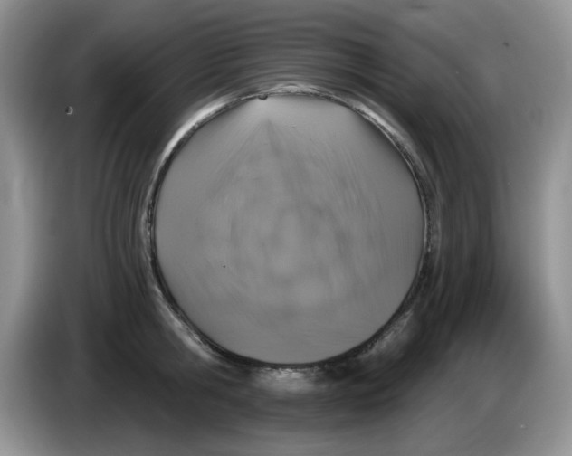 X0000084050806200703092051