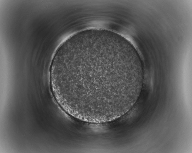 X0000084050807200703092051