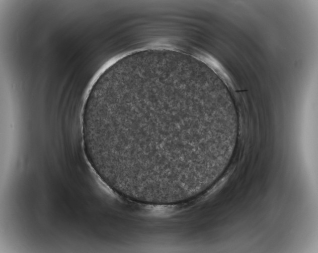 X0000084050808200703092051