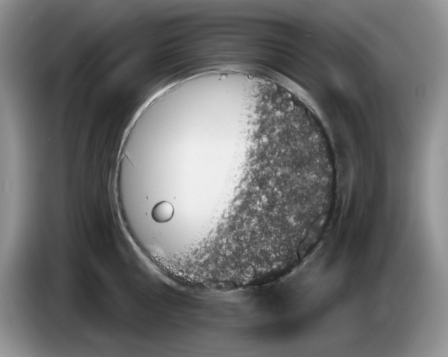 X0000084050810200703092051