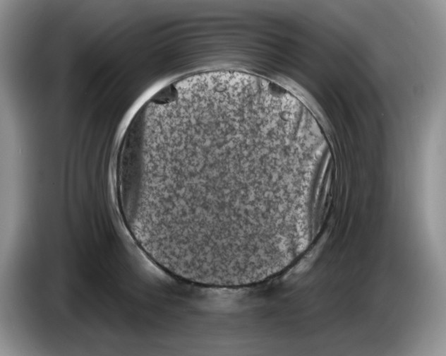 X0000084050812200703092051