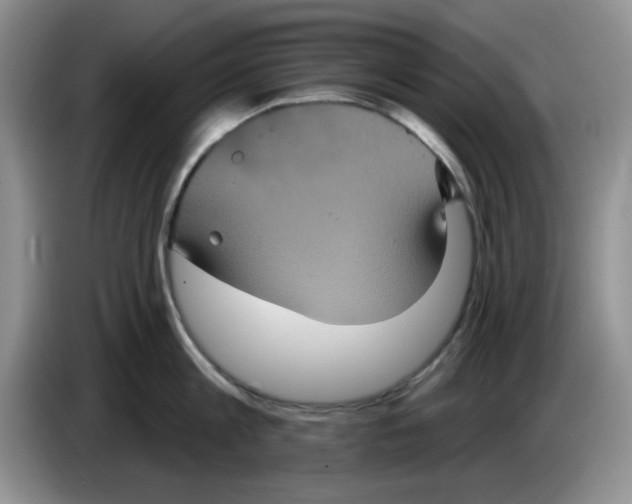 X0000084050813200703092051