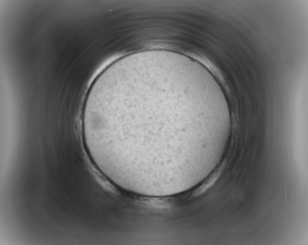 X0000084050814200703092051