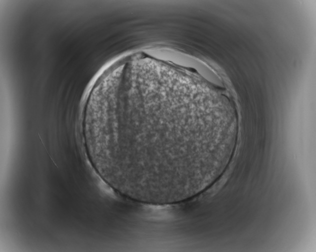 X0000084050816200703092051