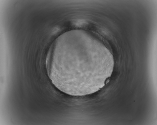 X0000084050817200703092050