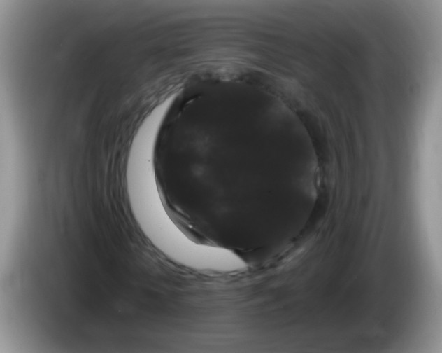 X0000084050818200703092050