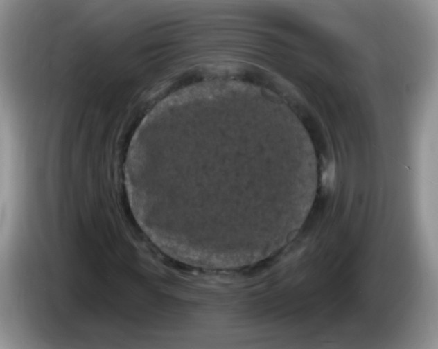 X0000084050819200703092050