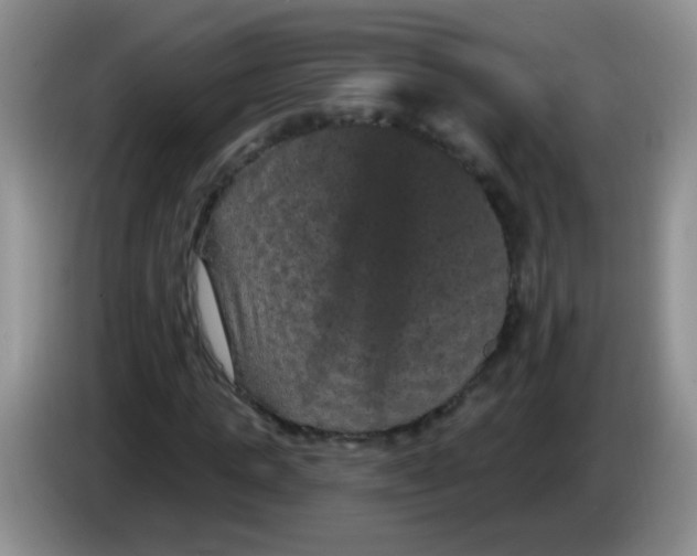 X0000084050821200703092050