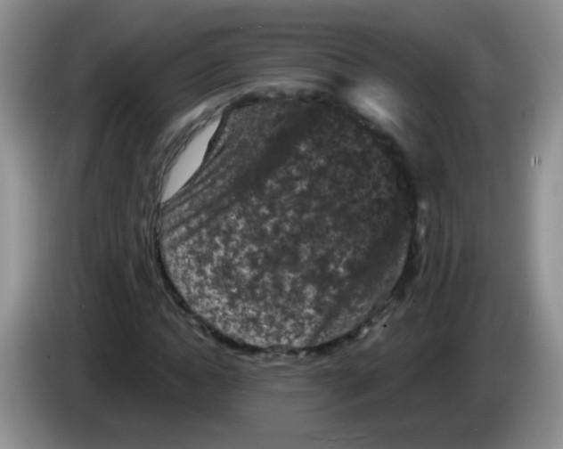 X0000084050822200703092050