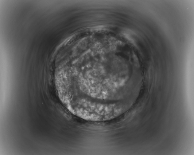 X0000084050823200703092050