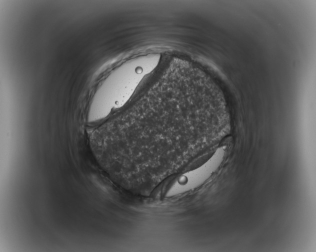 X0000084050824200703092050