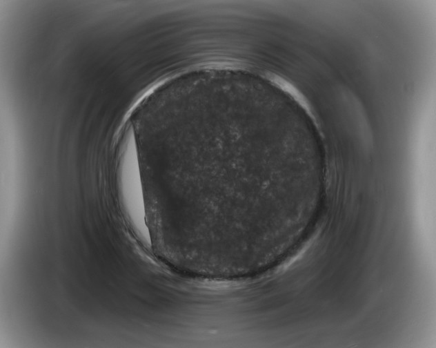 X0000084050829200703092050