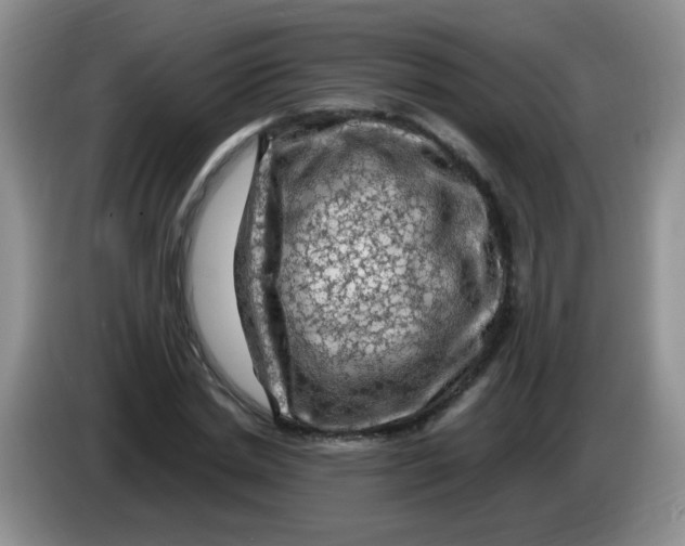 X0000084050830200703092050