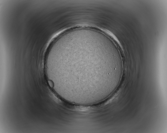 X0000084050831200703092050