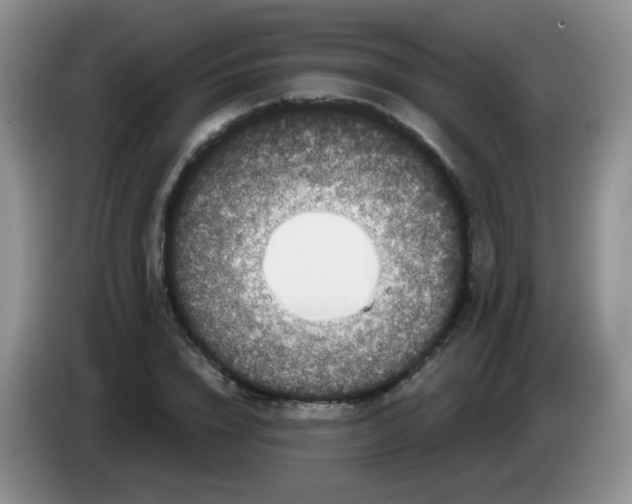 X0000084050832200703092050