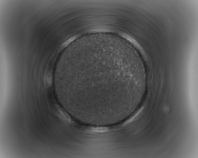 X0000084050833200703092050