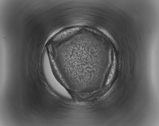 X0000084050834200703092050