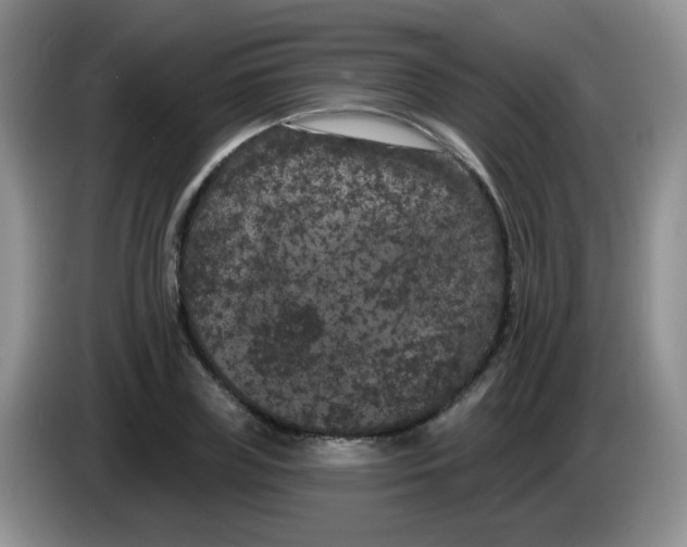 X0000084050835200703092050