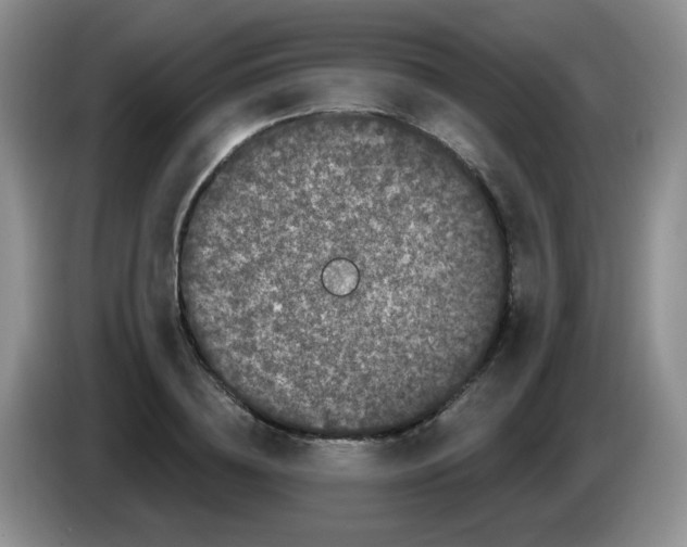 X0000084050836200703092050